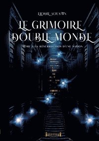 bokomslag grimoire double monde