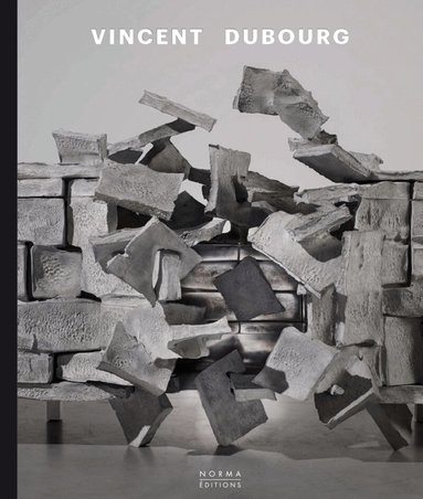Anne Bony, Nicolas Alquin, Sarah Schleuning - Vincent Dubourg, Inbunden
