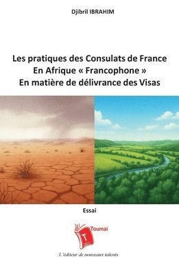 Les pratiques des consulats de France dans la zone d'Afrique francophone en matière de délivrance des visas ou l'art de refuser un visa par service interposé