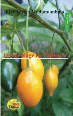 Efry Trytch Mudumumbula, Gnk Éditions Gabon - message de l'ailleurs, Häftad