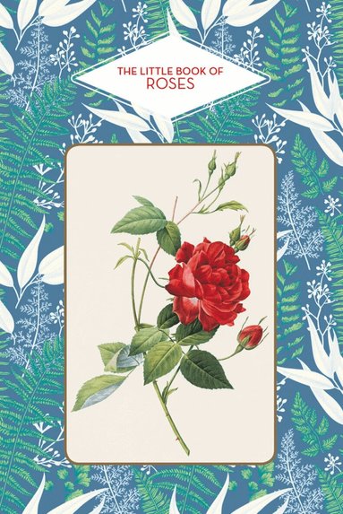 Michel Beauvais - Little Book of Roses, Inbunden