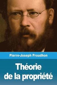 bokomslag Théorie de la propriété