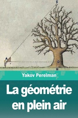 Yakov Perelman - géométrie en plein air, Häftad