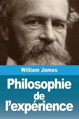 Philosophie de l'expérience 1