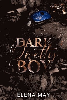 bokomslag Dark Pretty Boy