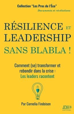 bokomslag Résilience Et Leadership Sans Blabla !