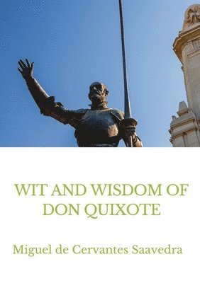 bokomslag Wit and Wisdom of Don Quixote