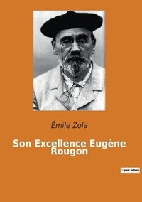 bokomslag Son Excellence Eugène Rougon
