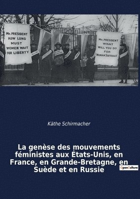 Käthe Schirmacher - genèse des mouvements féministes aux États-Unis, en France, en Grande-Bretagne, en Suède et en Russie, Häftad