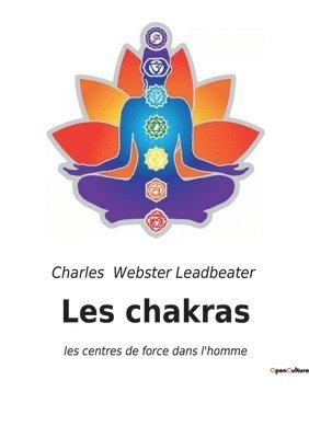 bokomslag Les chakras