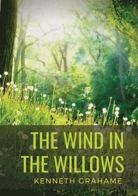 bokomslag The Wind in the Willows