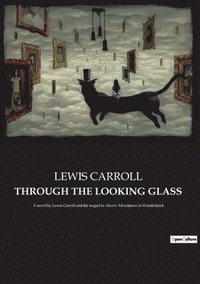 bokomslag Through the Looking Glass