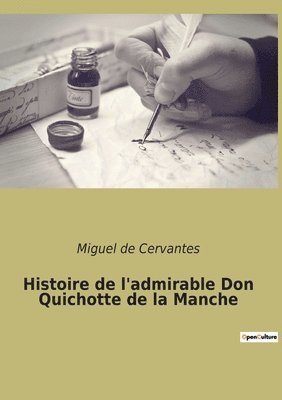 bokomslag Histoire de l'admirable Don Quichotte de la Manche