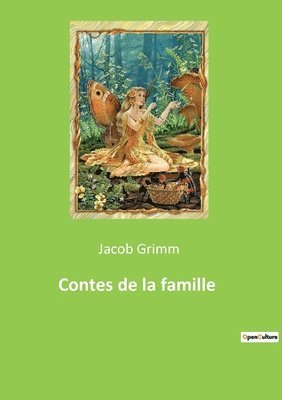 bokomslag Contes de la famille