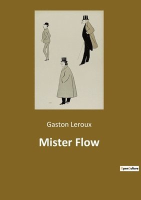 bokomslag Mister Flow