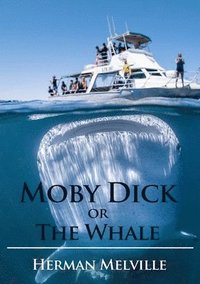bokomslag Moby Dick or The Whale
