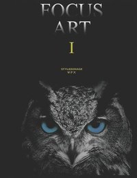 bokomslag Focus Art 1