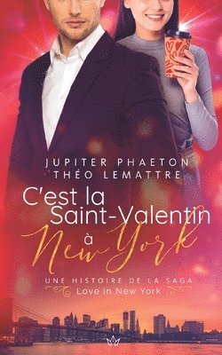 bokomslag C'est la Saint-Valentin  New York