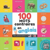 bokomslag 100 mots opposes en anglais