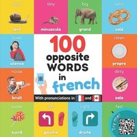 bokomslag 100 opposite words in french