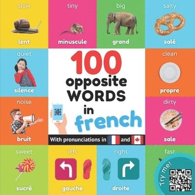 bokomslag 100 opposite words in french