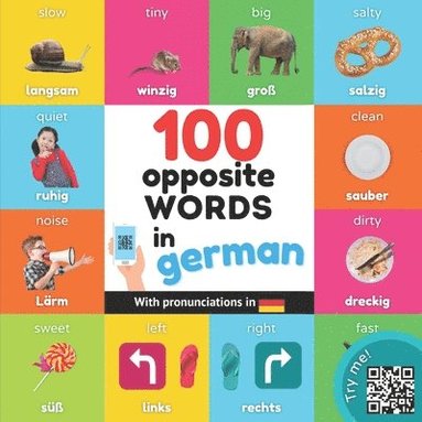 bokomslag 100 opposite words in german