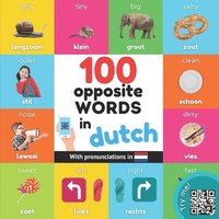 bokomslag 100 opposite words in dutch