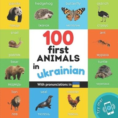 bokomslag 100 first animals in ukrainian