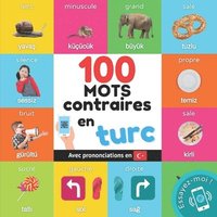bokomslag 100 mots contraires en turc