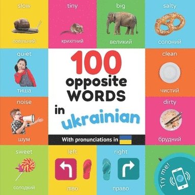 bokomslag 100 opposite words in ukrainian