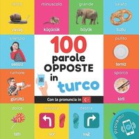 bokomslag 100 parole opposte in turco