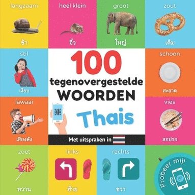 bokomslag 100 tegenovergestelde woorden in het thais