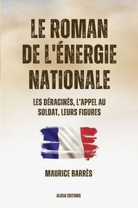 bokomslag Le roman de l'nergie nationale