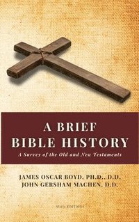 bokomslag A Brief Bible History