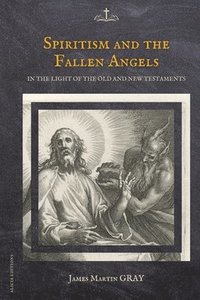 bokomslag Spiritism and the Fallen Angels