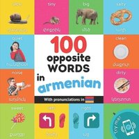 bokomslag 100 opposite words in armenian