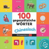 bokomslag 100 Gegensätze auf Chinesisch