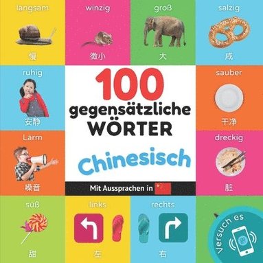 bokomslag 100 Gegensätze auf Chinesisch