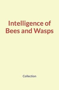 bokomslag Intelligence of Bees and Wasps