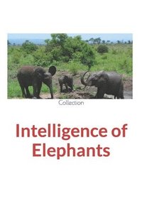 bokomslag Intelligence of Elephants
