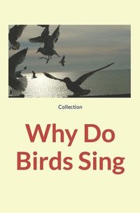 bokomslag Why Do Birds Sing