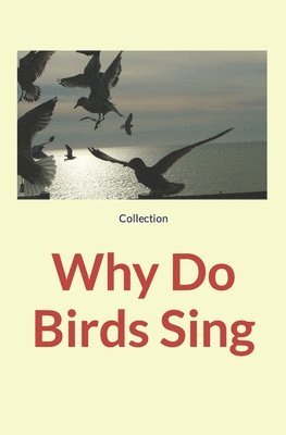 bokomslag Why Do Birds Sing