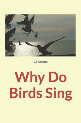 Nature and Human Studies, Collection - Why Do Birds Sing, Häftad