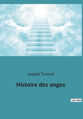 bokomslag Histoire des anges