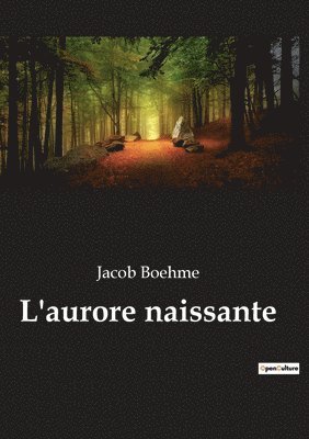 bokomslag L'aurore naissante