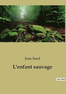 bokomslag L'enfant sauvage