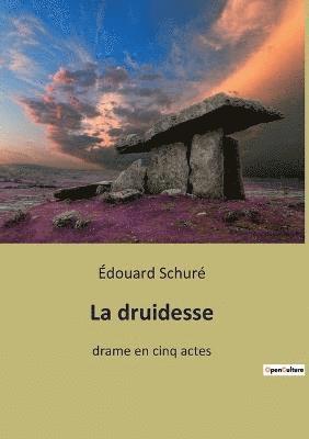 bokomslag druidesse