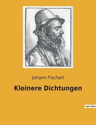 bokomslag Kleinere Dichtungen
