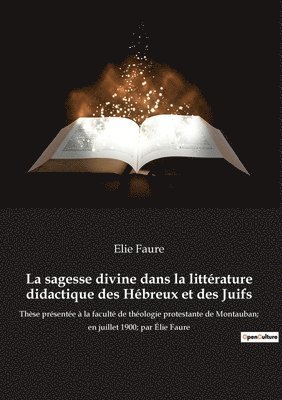 bokomslag La sagesse divine dans la litterature didactique des Hebreux et des Juifs