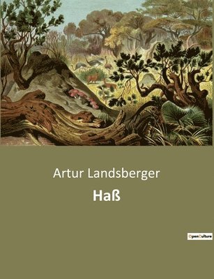 bokomslag Haß